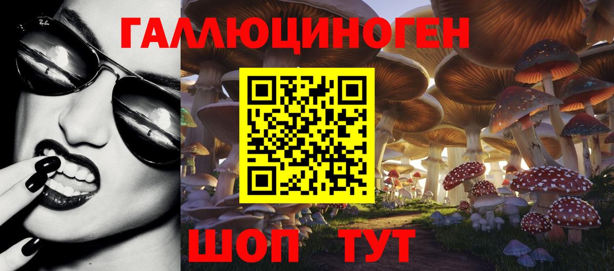 Мытищи  Галлюциногенные грибы MAGIC MUSHROOMS  Вход с VPN 